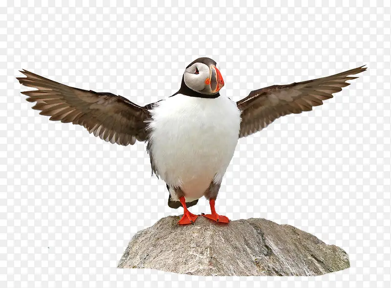 ��������ز�-������