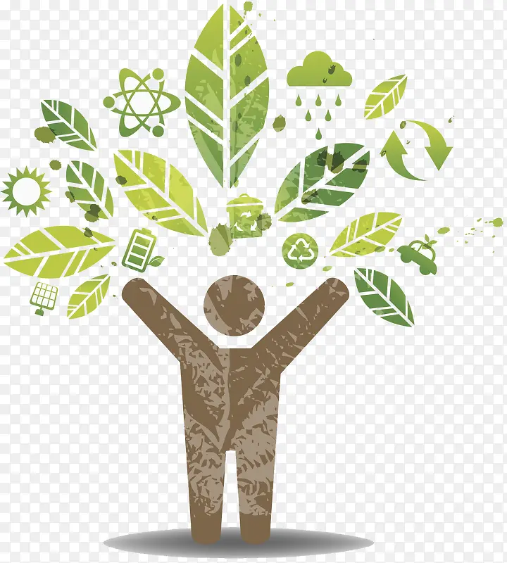 ��ͨ��Ҷ-������