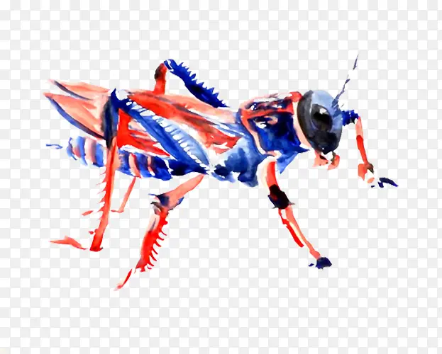 ��ɫ����-������