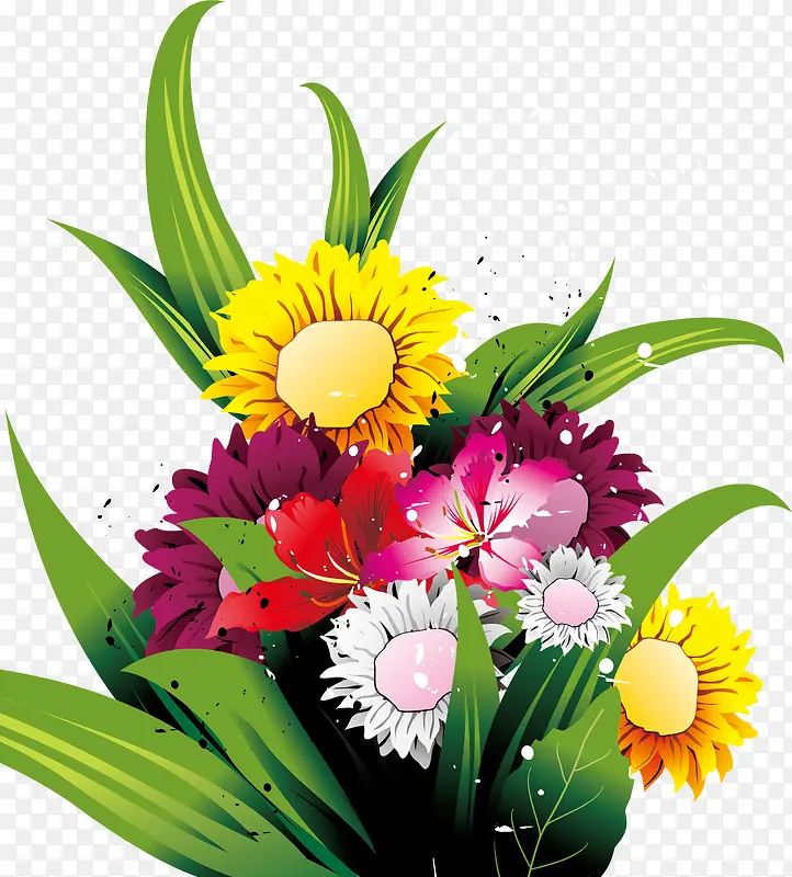 ���廨����Ҷ-������