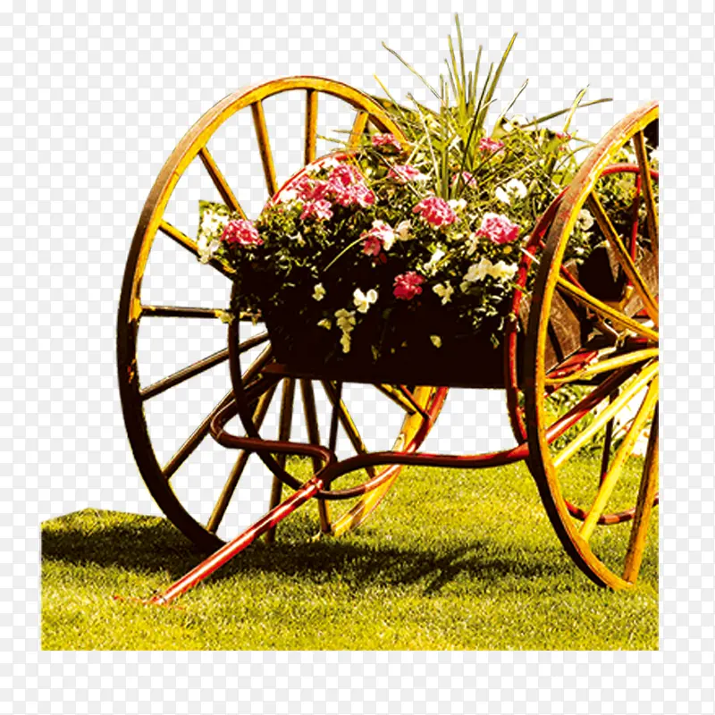 ����ľ��-������