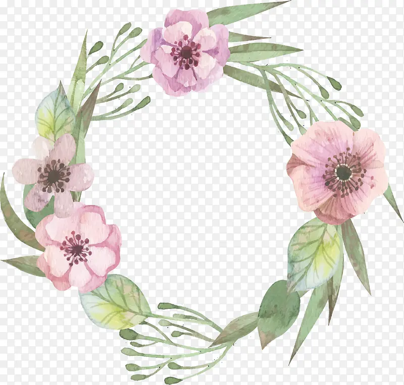 ˮ��ֲ�ﻨ��-������