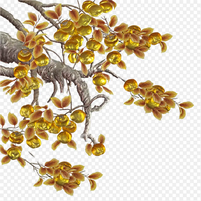 ��֦-������