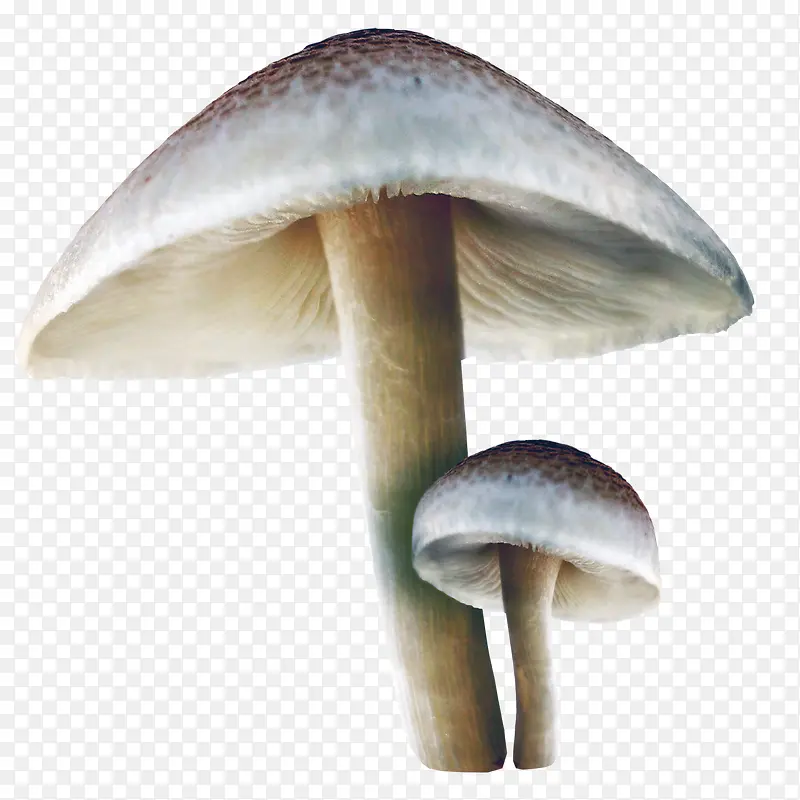 ͯ�����翨ͨ�ֻ�Ģ��-������