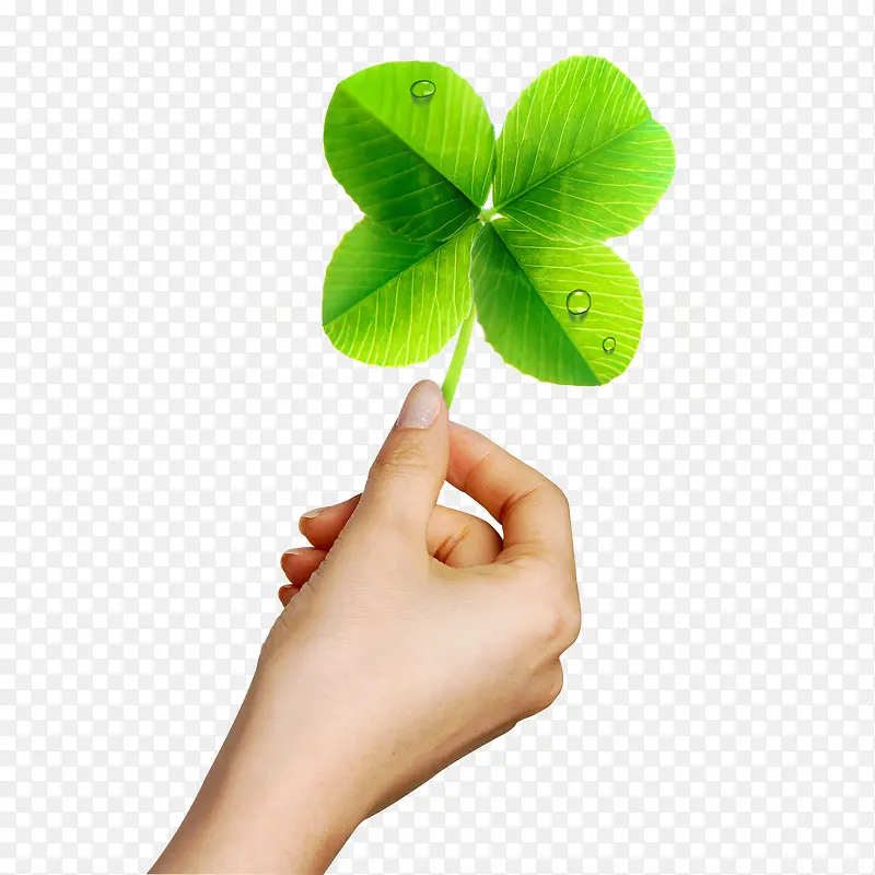 ������Ҷ��-������