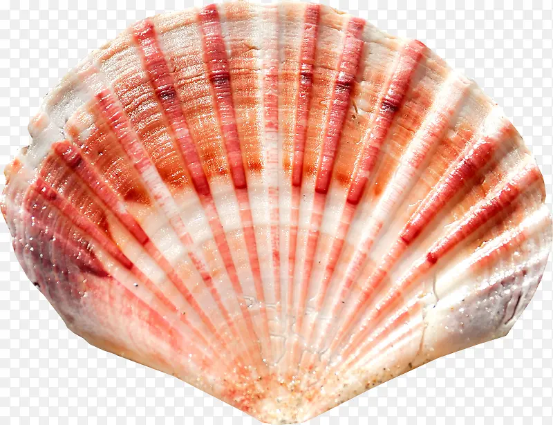 ��ɫ�����ȱ�-������