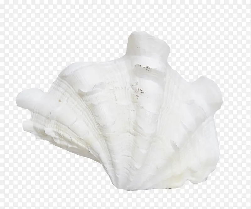 ��ɫƯ���ȱ�-������