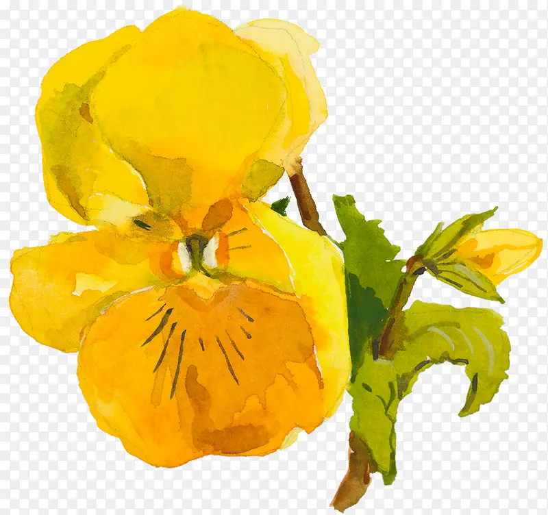 �ֻ��ɫ����-������