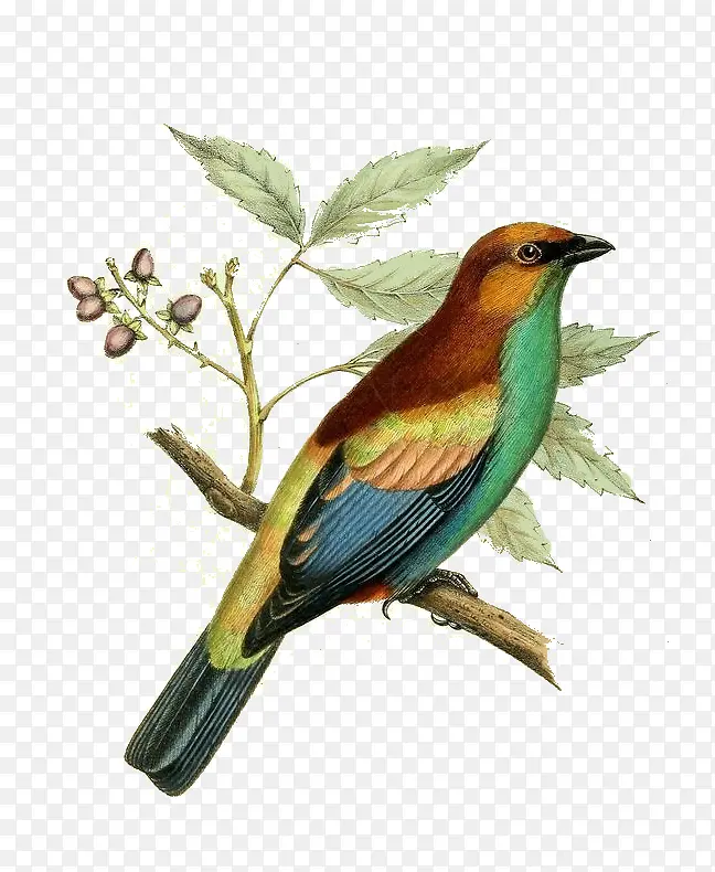 ��ͨ������-������