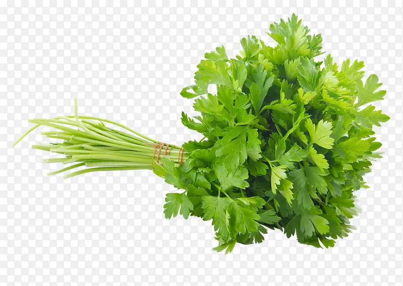 �߲��۲�-������