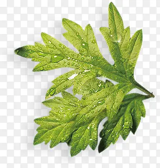 �۲��ز�-������