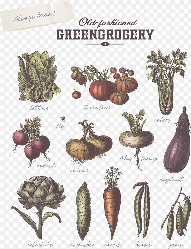 �ŵ��߲�ʸ���ز�-������