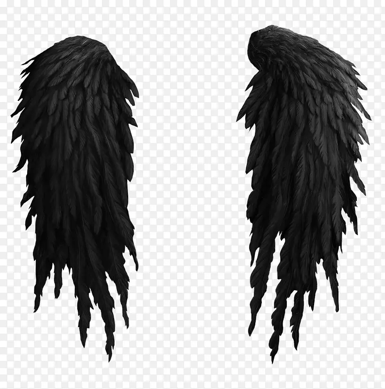 ��ɫ���-������