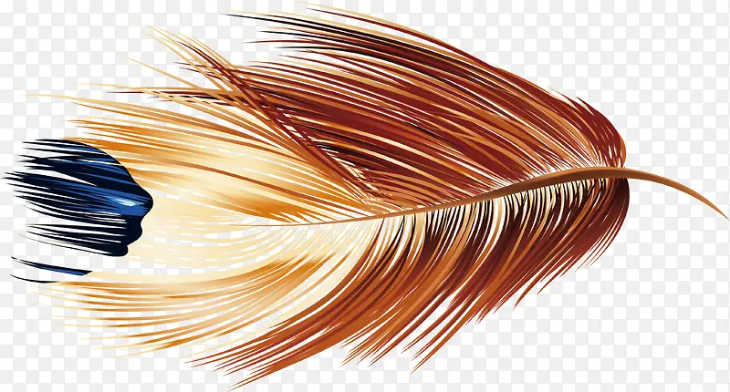 �ֻ澫����ë����-������