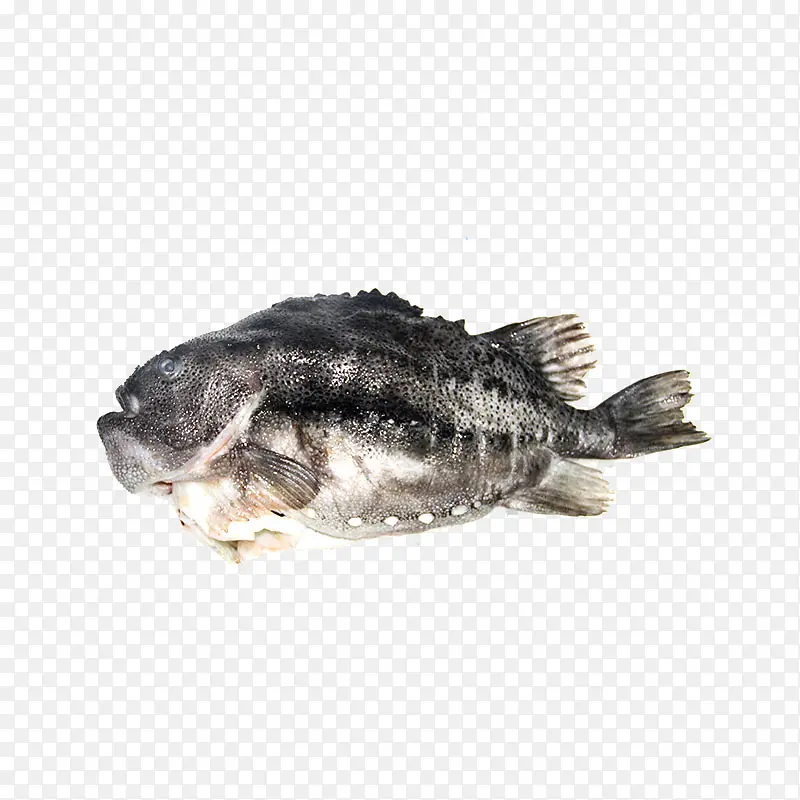 ����-������