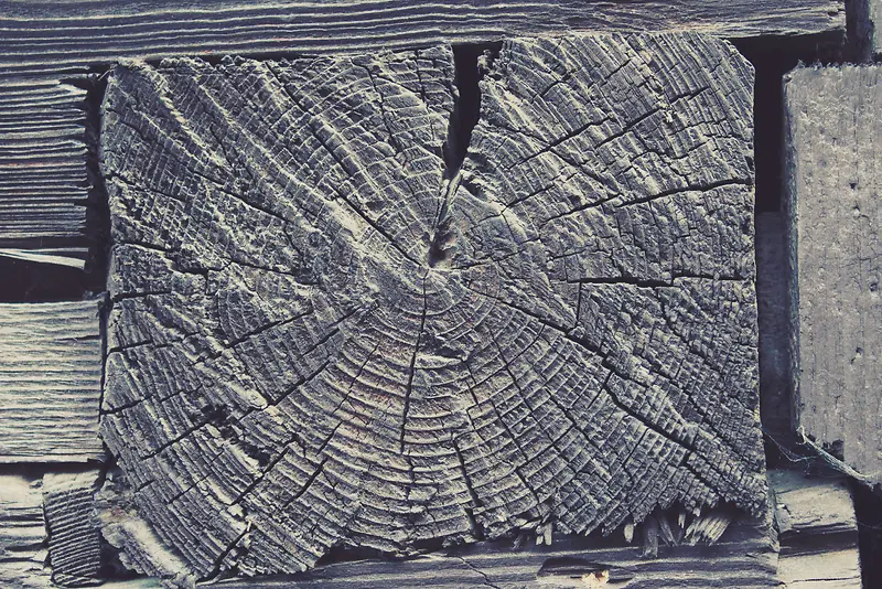 ľͷ��������-������