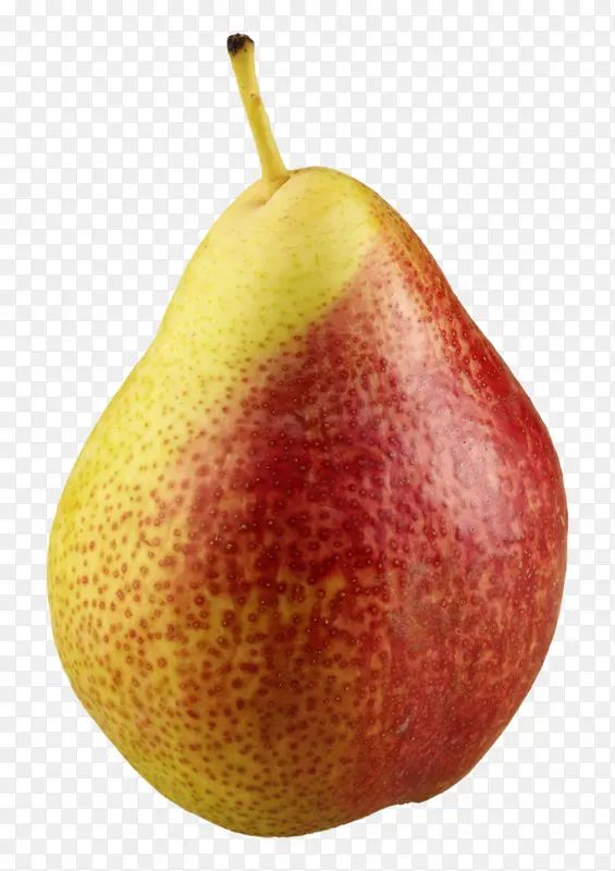 ��ɫ����-������