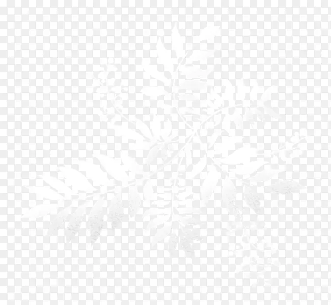 Ư����ɫ֦Ҷ-������