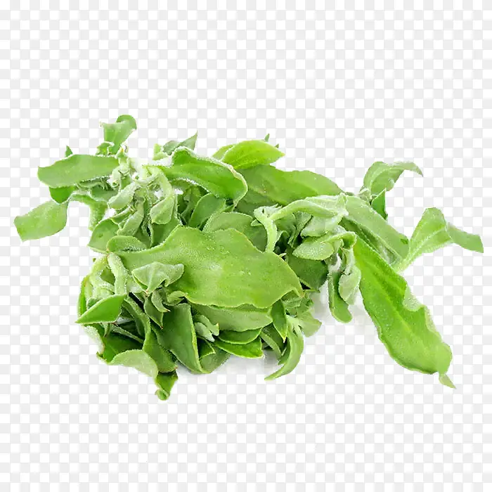 ��ζ����-������