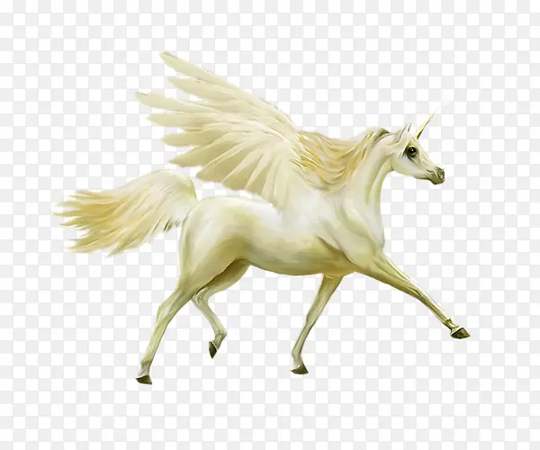 ��ɫ����-������