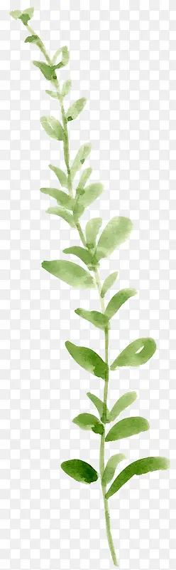 �ʻ�С��-������