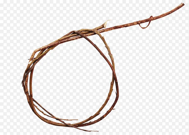 ��ɫ��֦Բ��-������