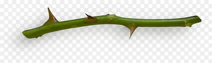 ���̵���֦-������