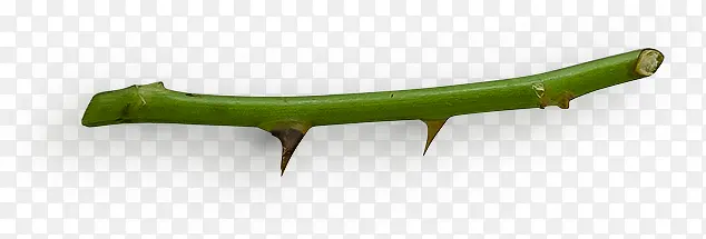 ���̵���֦-������