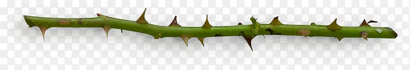 ���̵���֦-������