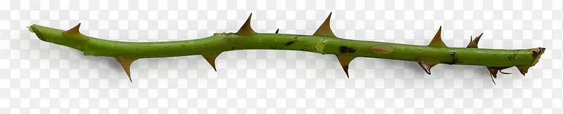 ���̵���֦-������