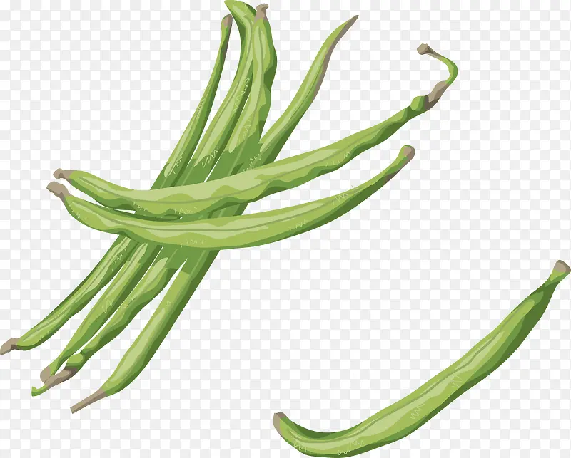 ����װ�����ʸ��-������