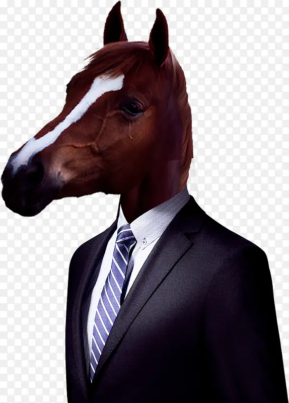 ��ͷ������װ-������