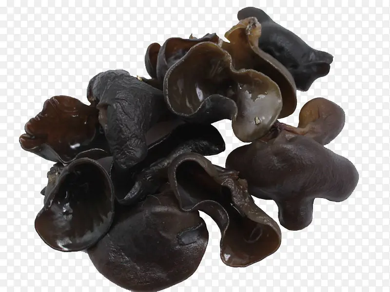 ľ��-������