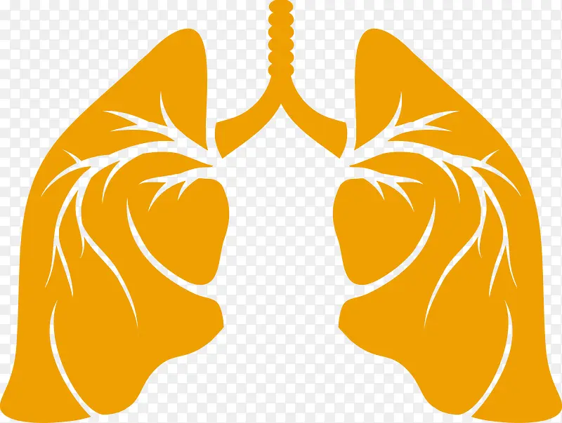 ʸ�����ز�-������