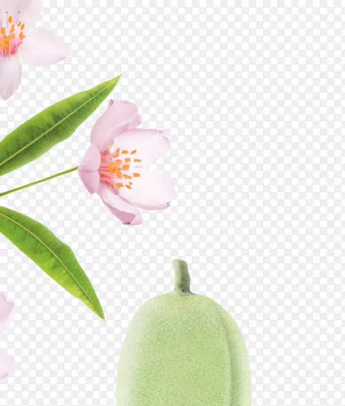 ������ë������-����-������