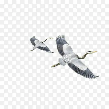 ��-������