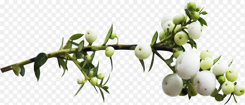 ����ʸ���ز��ʻ�����-������