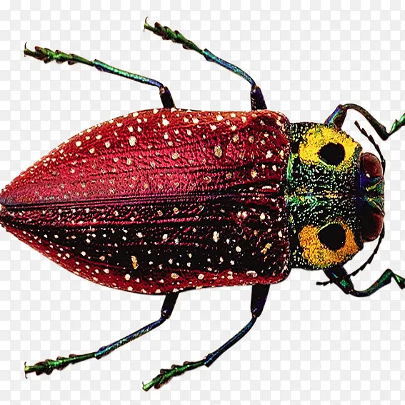 ����������-������