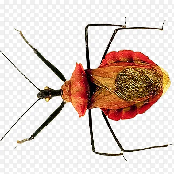 ��������-������