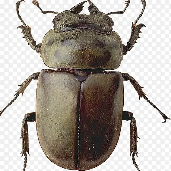 �׳漦ʺ��-������