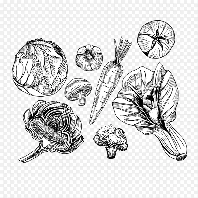 �ڰ��߲�-������