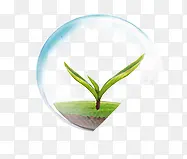 ��ɫС��-������