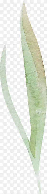 ˮ�ʲ�Ҷ��-������