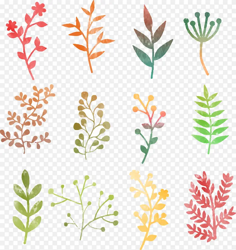 ʸ��ˮ��Ч��ֲ��Ҷ��-������