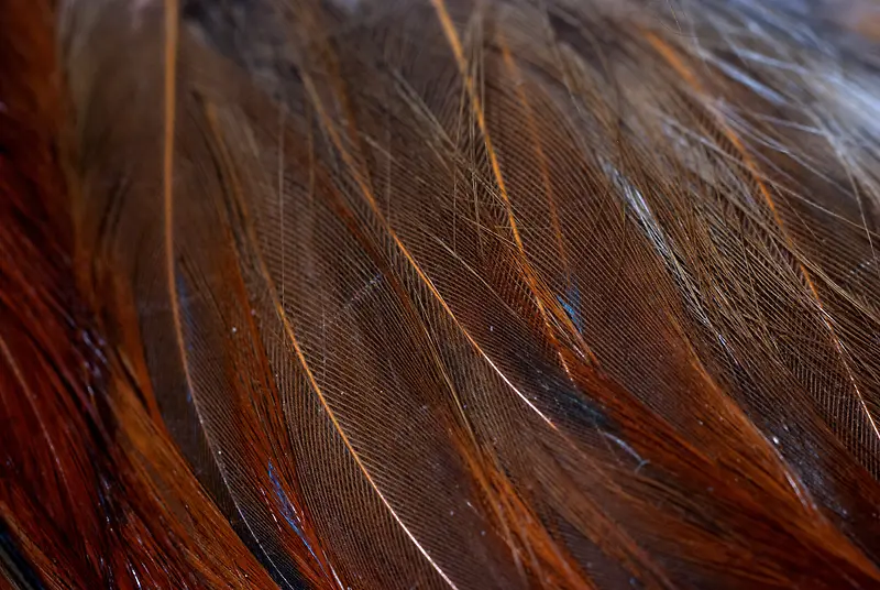 ������ë��������-������