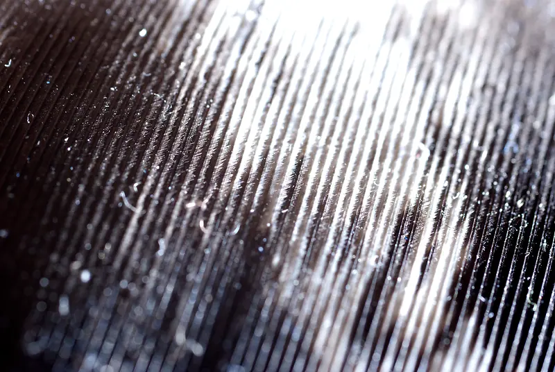 ��ë���ʱ���-������