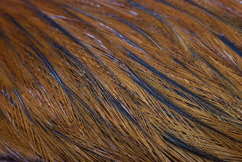 ������ë����-������