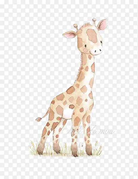 �ɰ�����¹-������