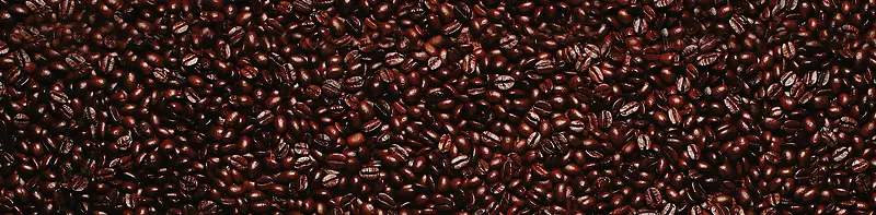 ���ȱ���-������