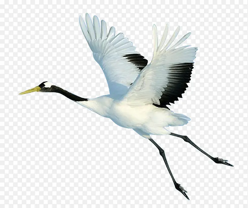 �ſ����������-������